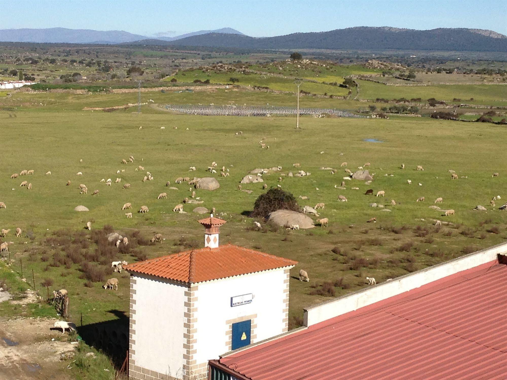 Complejo Penafiel Appartement Zarza La Mayor Buitenkant foto